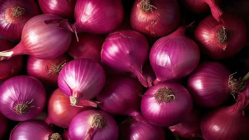 LAAL PYAJ  1 KG