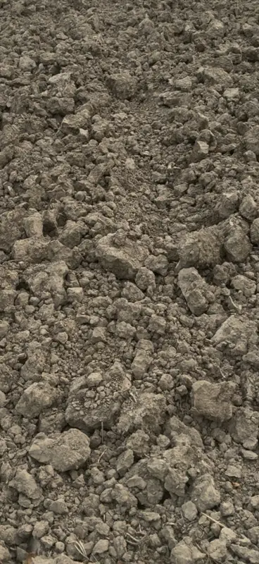 soil testing