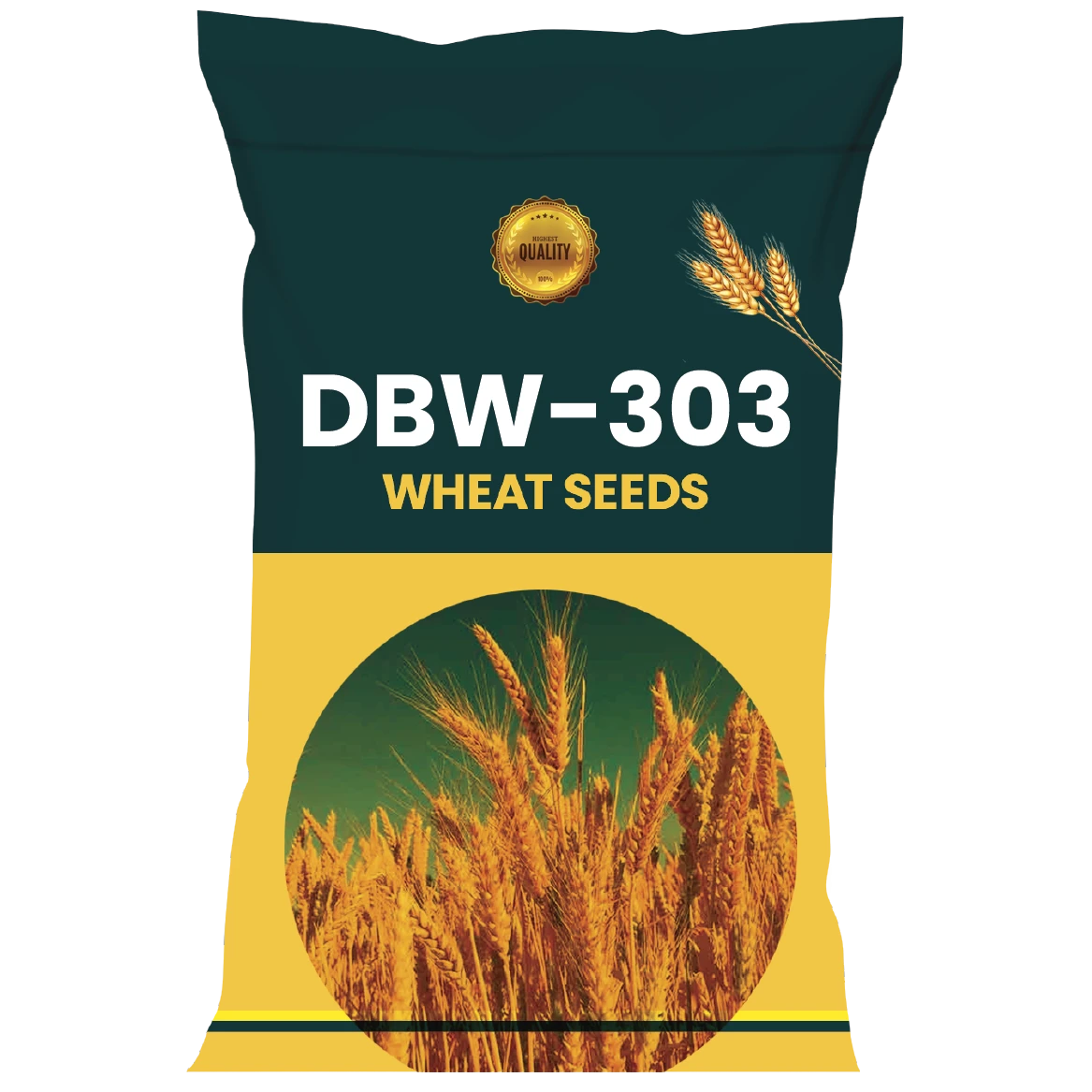 WHEAT SEEDS VARIETY DBW-303