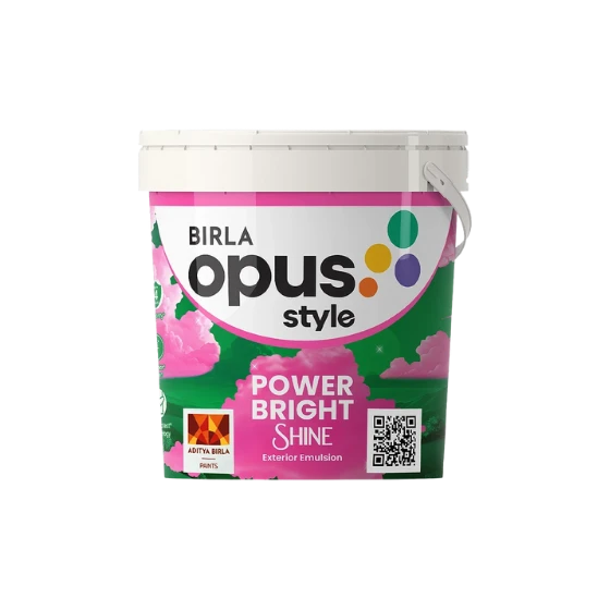 PAINT STYLE POWER BRIGHT SHINE 10L