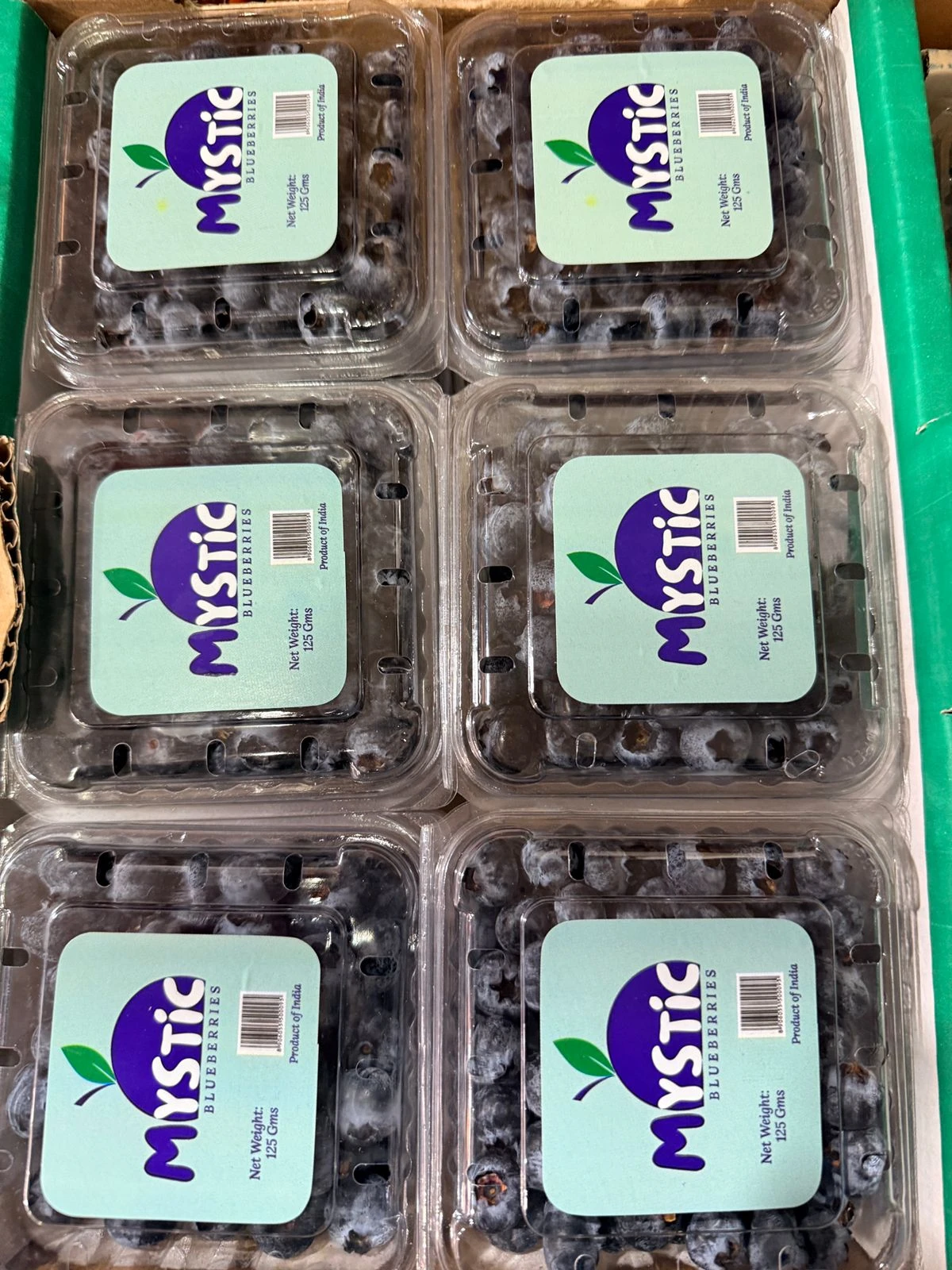 BLUEBERRIES LARGE (PACK OF 12)